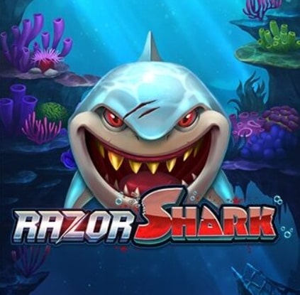 Knossi Razor Shark